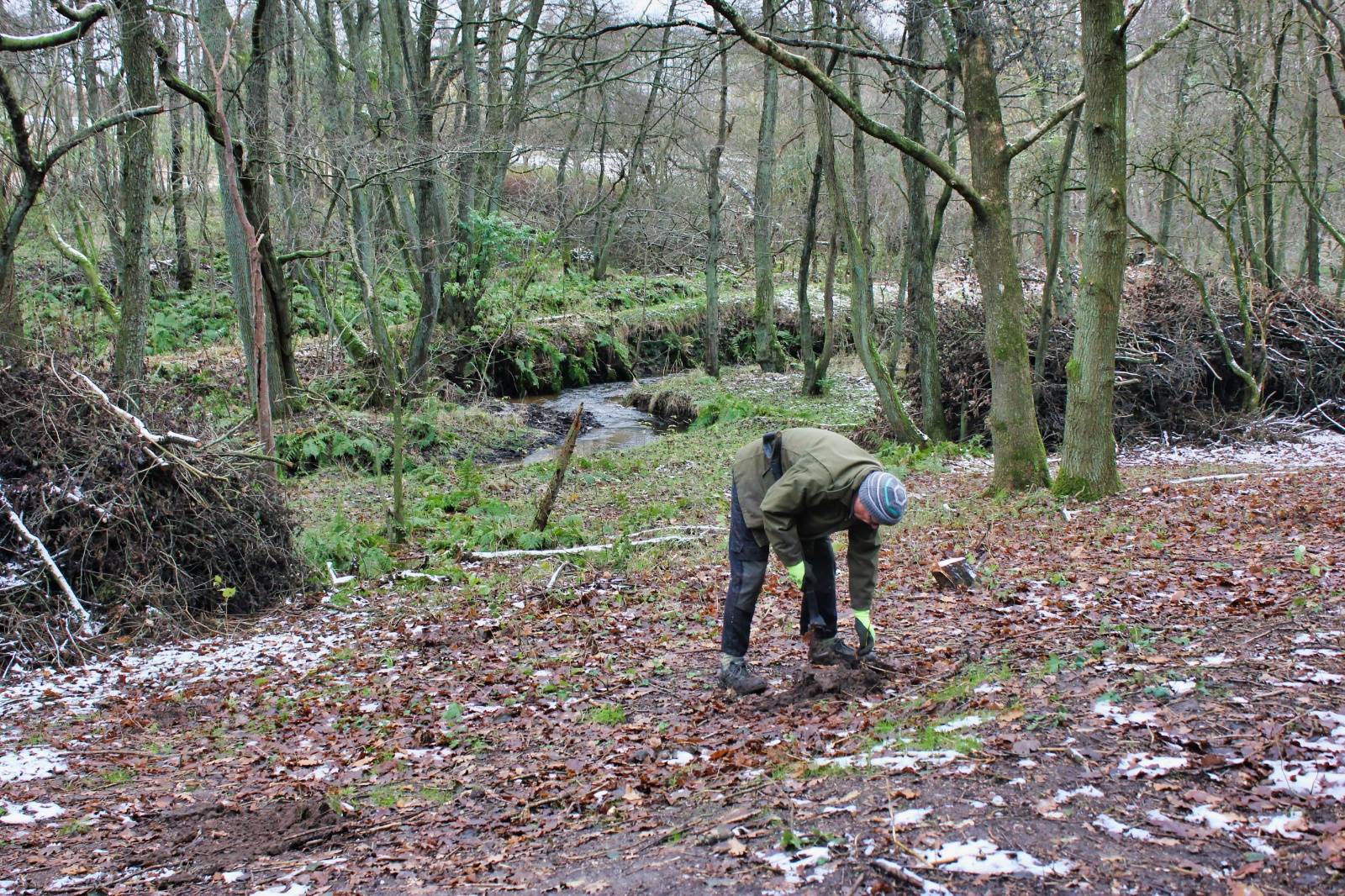 23. november - plantning